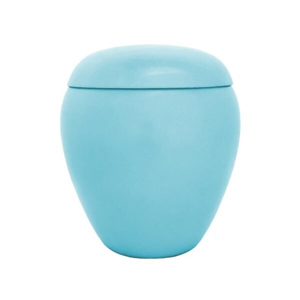 Sirius 64 Urn